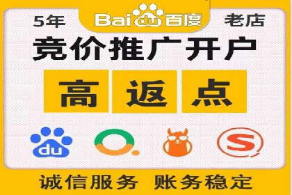 百度SEO推广技巧案例分析